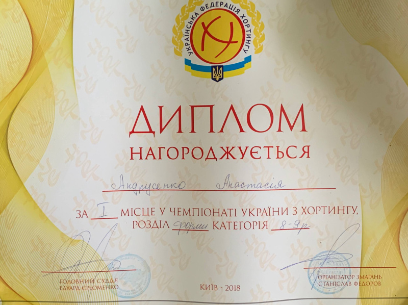 Файл:Диплом за перше місце 2018.jpg