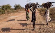 Menschen in S dsudan beim Holzsammeln-Menschen in Suedsudan beim Holzsammeln-suedsudan.jpg