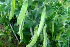 L 5cd1a788-7717-4a69-9a1d-f7e31d994e81.png