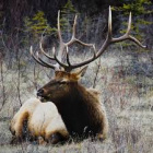 Images (2)000000.jpg