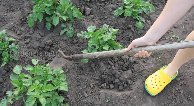 Файл:Xl a6d84a11-b0c4-41a2-a0d5-8b8337301516.JPG