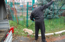 Catchinganimal 07022025.jpg