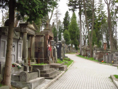 Graveyard 2.jpg