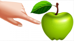 1637336489 165684.png