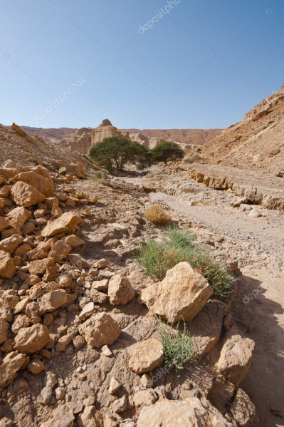 Файл:Depositphotos 22789512-stock-photo-dry-riverbed.jpg