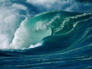 Tsunami-wave.jpg
