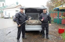 ManCatching 06022025.jpg