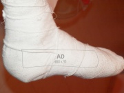 Ad leg.jpg