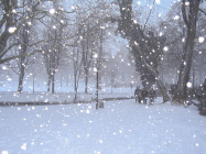 Лапатий сніг 351216.jpg
