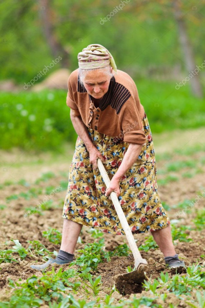 Файл:Sivachka 2.jpg