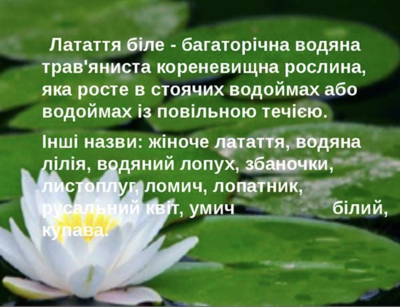 Файл:IMG 4486.jpeg