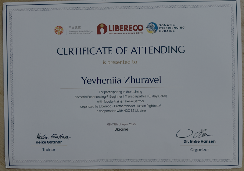 Файл:SE Beginner I 2025.png