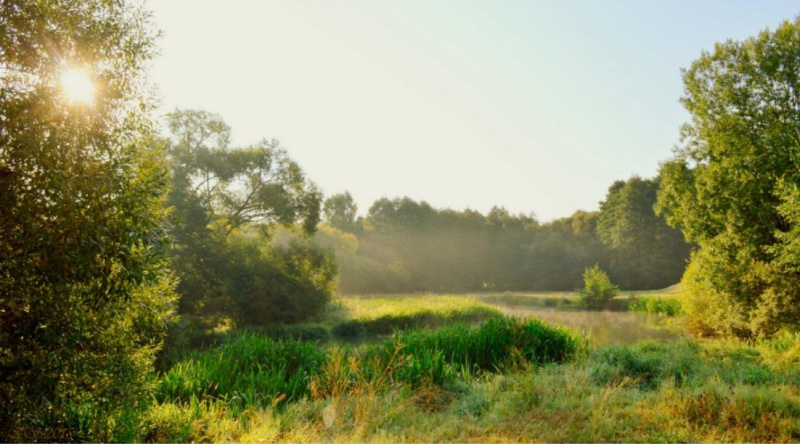 Файл:Yasshe 1.jpg