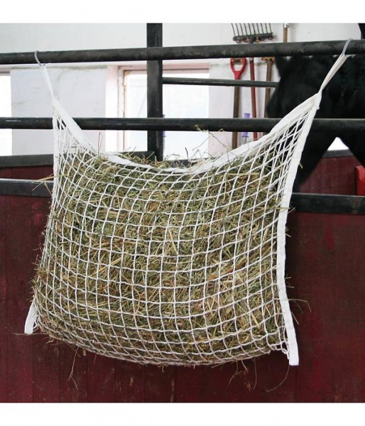 Файл:Reptuh 2.jpg