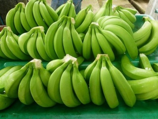 Zeleni-banany4873453.jpg